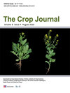 Crop Journal雜志封面